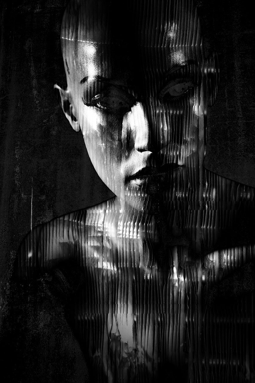 Lisa Brunner - Art Photographer - Metallic Portrait